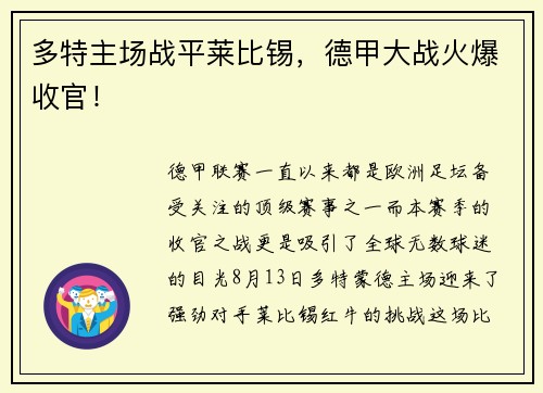 多特主场战平莱比锡，德甲大战火爆收官！